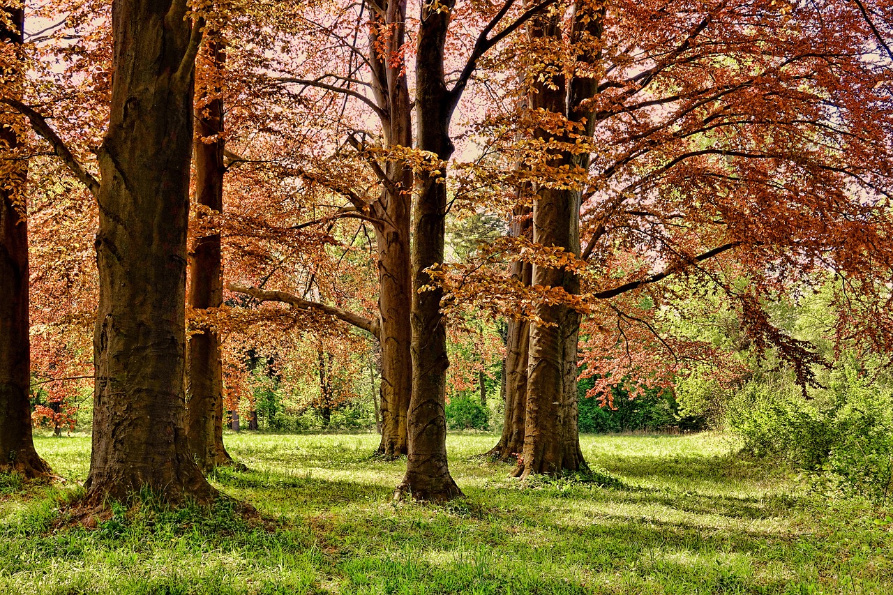 How Archaeological Parks Enhance Learning